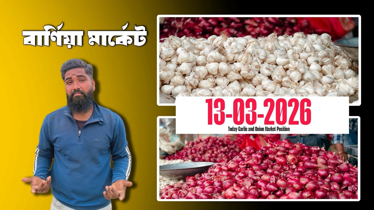 March 13, 2026 বার্ণিয়া মার্কেট । রসুন । পেঁয়াজ । Garlic । Onion । Business idea । Today Market ।