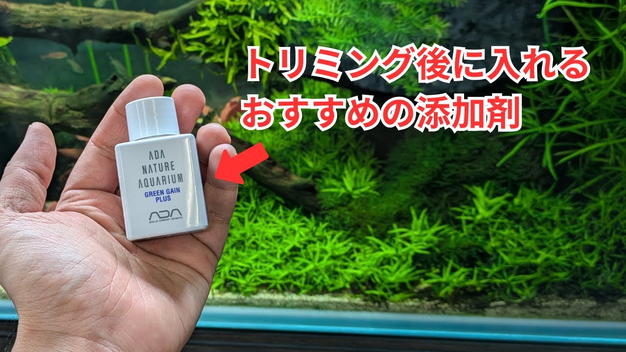 【トリミング後に入れろ！】新芽の展開を促す添加剤グリーンゲイン