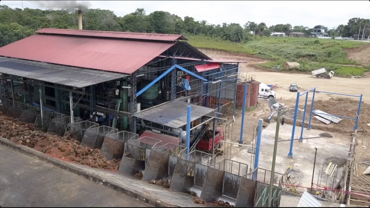 HPO: PRODUCCI&Oacute;N ACEITE DE PALMA