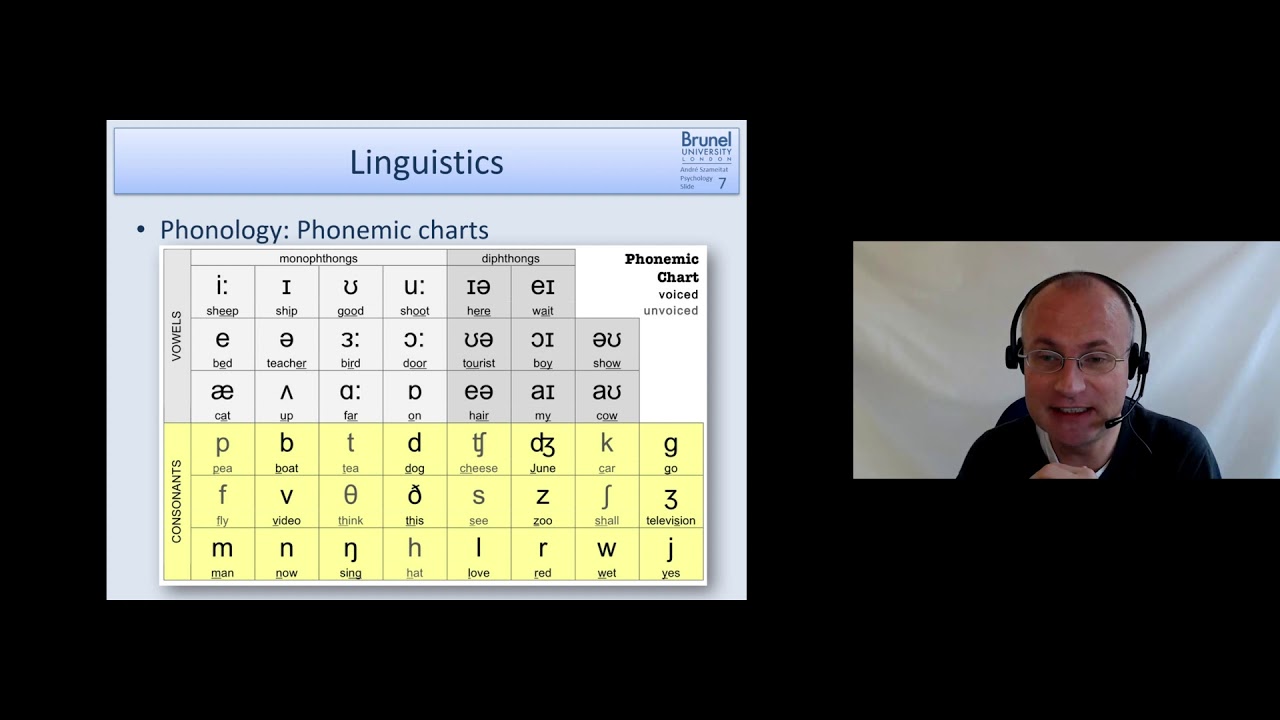 Cognitive Psychology Lecture 06 - Language 1 - Part 1 (Linguistics)