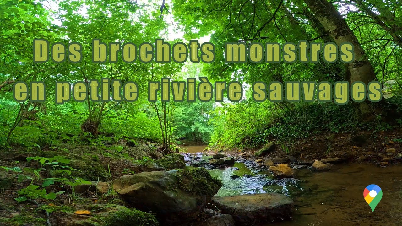 Les brochets MONSTRES sont de sortie !!!