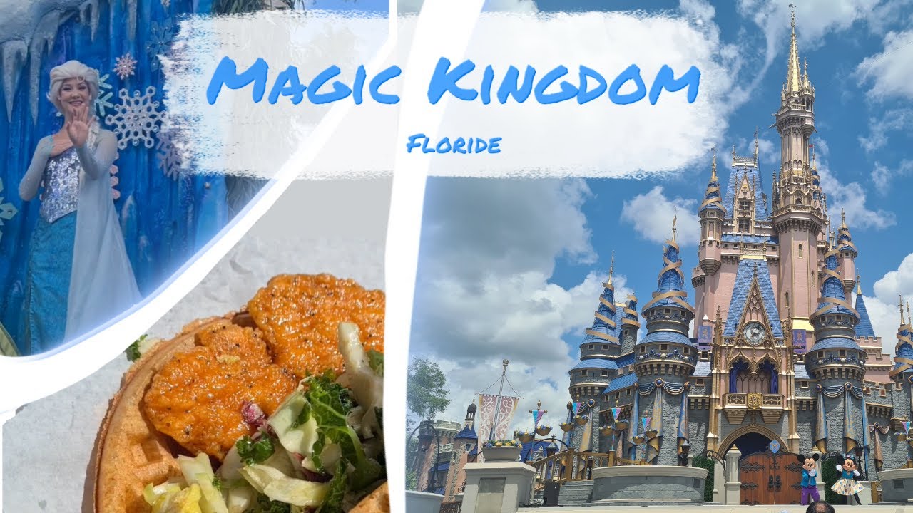 Vlog 2 Magic Kingdom