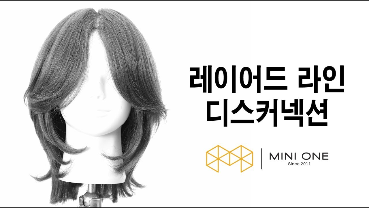 레이어드 라인 디스커넥션