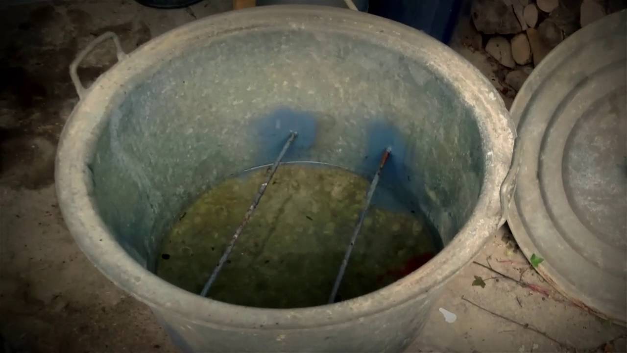 Pêche de la carpe en rivière, la Moselle vol 3