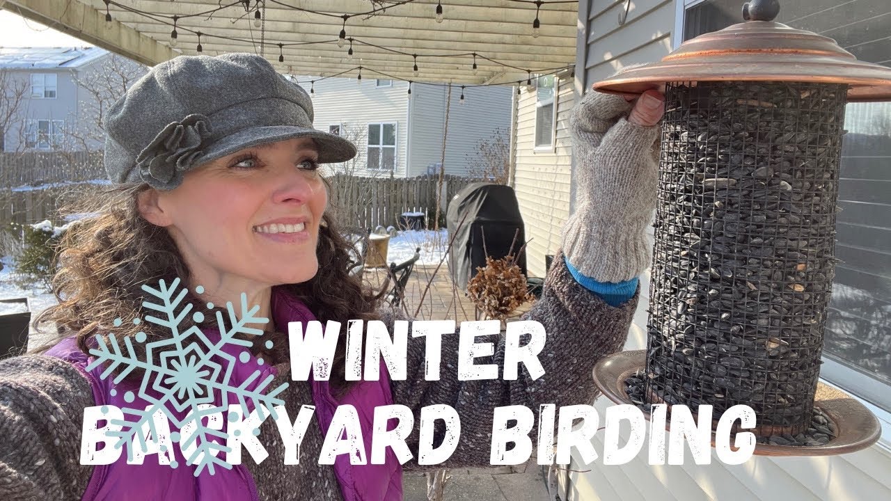 Feeding Birds in My Winter Garden | Here She Grows
