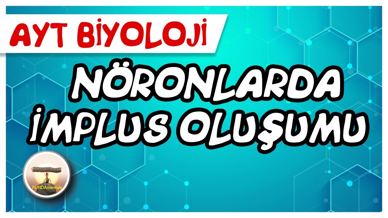 Nöronlarda İmpuls Oluşumu #sayfa 14