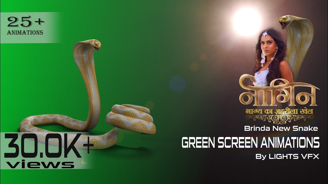 Nagin 4 Brinda New Snake Animation On Green Screen By LIGHTS VFX Official