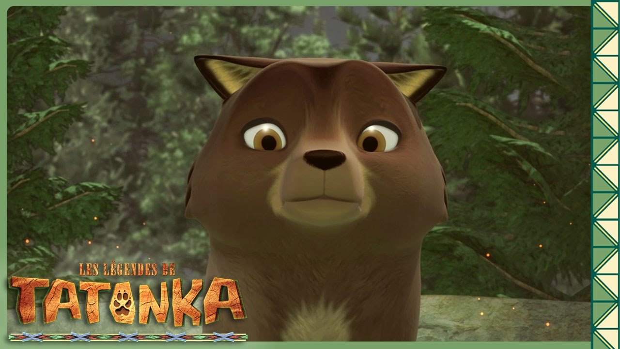 Quand la nature joue des tours ! Compilation inédite | Tatonka