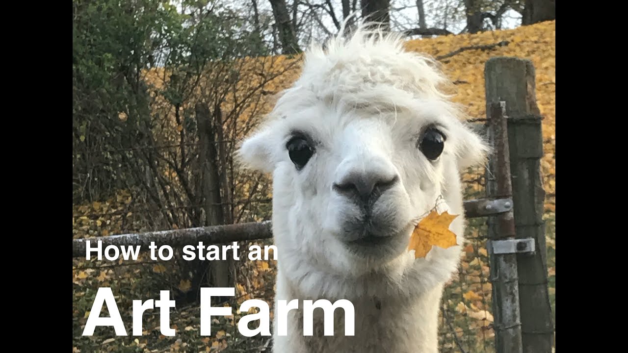 Art Farm - Starting up a hobby farm for artists.