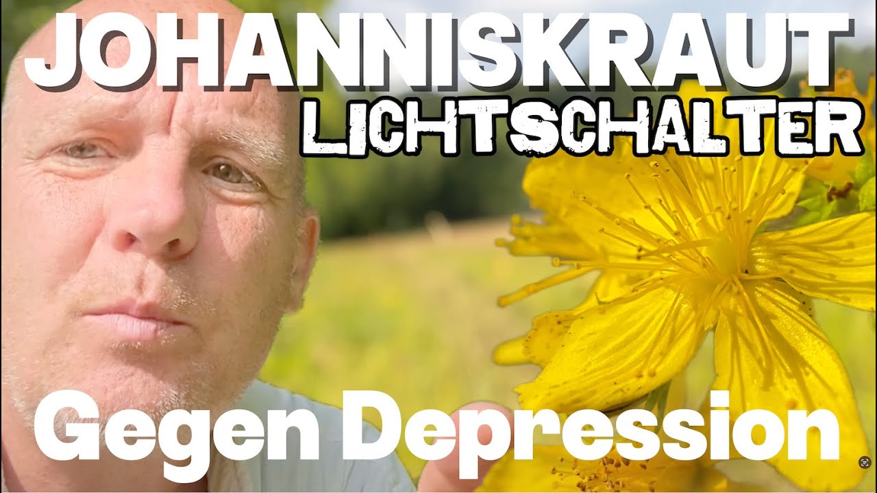 Johanniskraut - Pflanzliches Antidepressivum, heilt mit Licht Stress, Angst, Krebs, Viren und Sucht