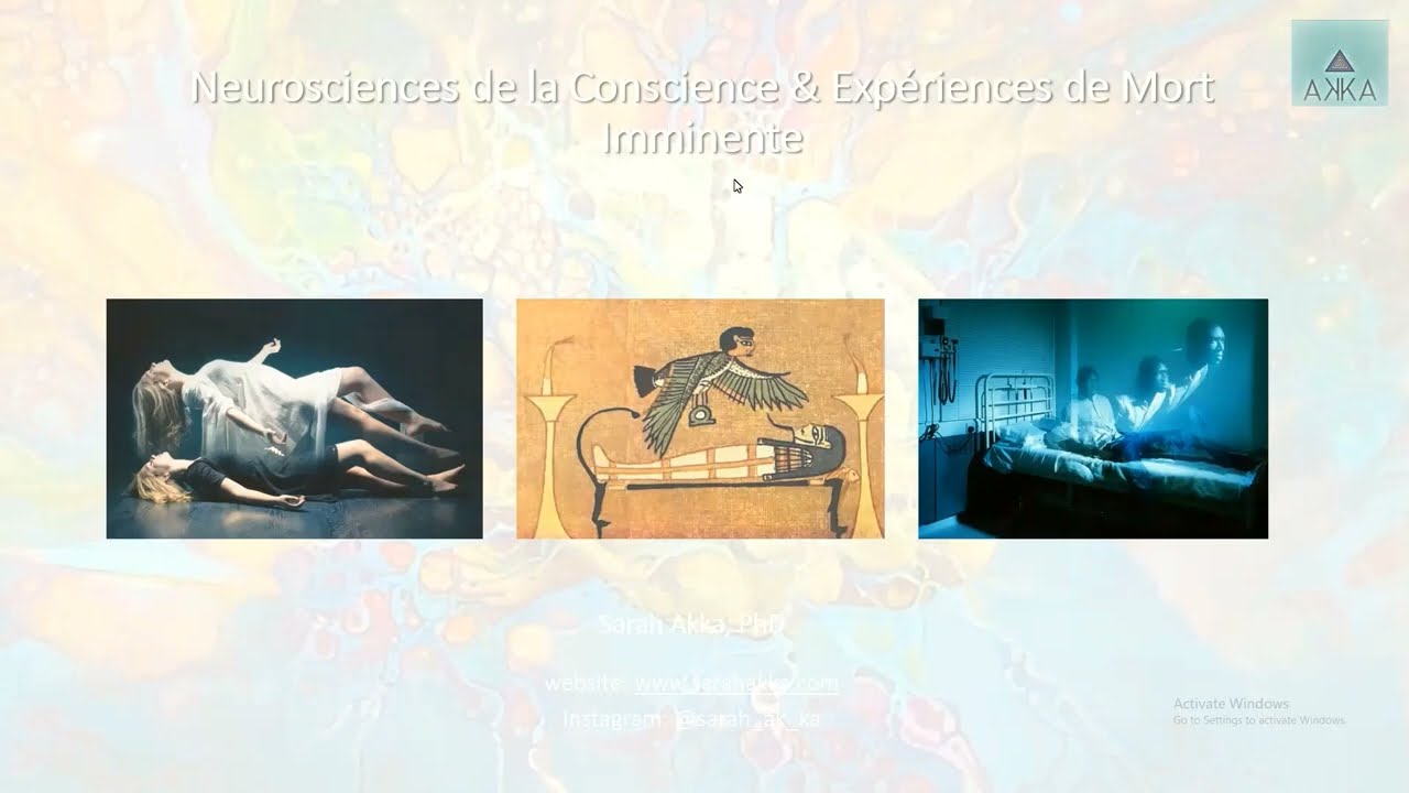Cours sur les Neurosciences de la Conscience et les EMI - preview