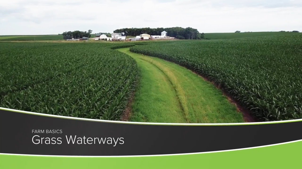 Farm Basics #1190 Grass Waterways (Air Date 1-24-21)
