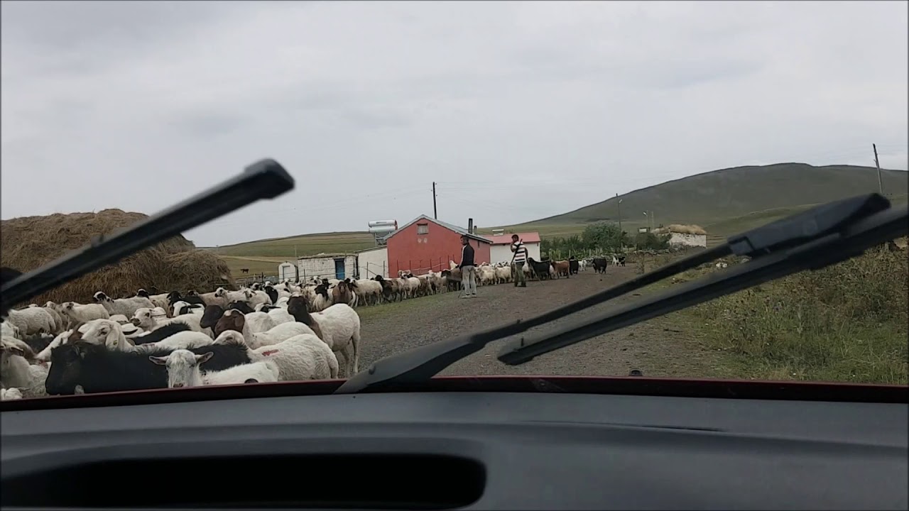 KARS İNCEDERE KÖYÜ -  2018