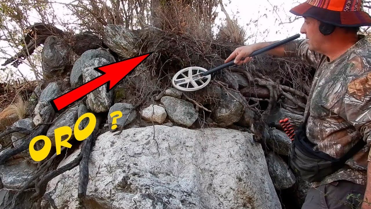 24 HORAS BUSCANDO ORO en RAÍCES de ARBOLES 💥PEPITAS DE ORO Tesoros Encontrados y Enterrados