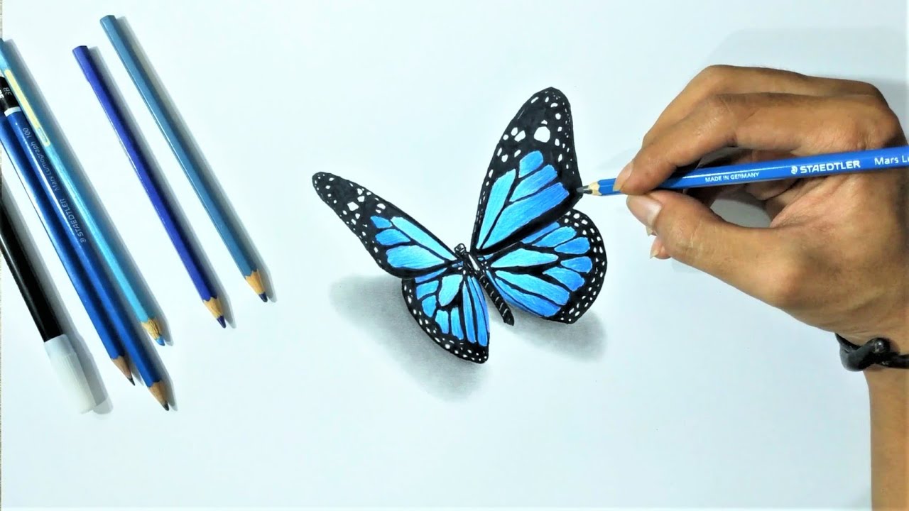 Cocok untuk Pemula.. Cara Menggambar 3D KUPU-KUPU dengan pensil warna