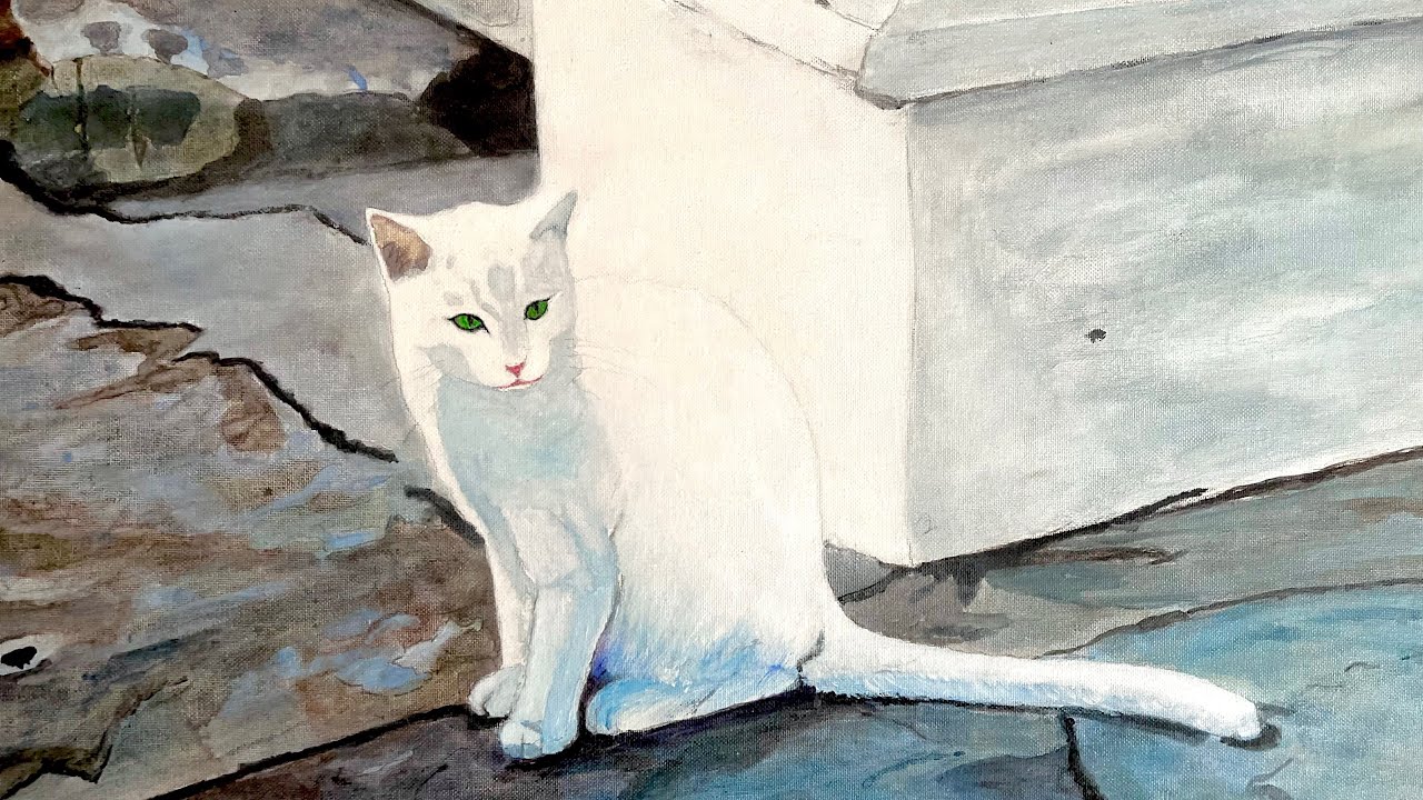 Bossa Nova ( in my kitty) 