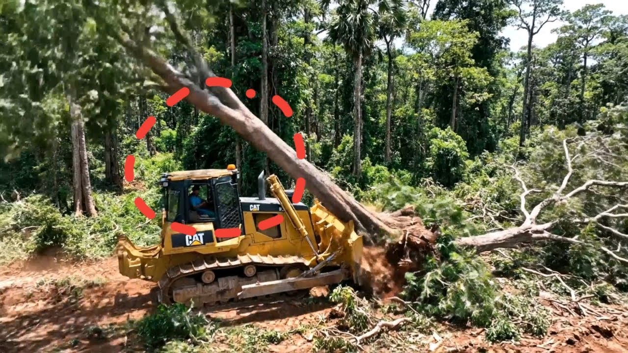 High Powered Bulldozer Clearing Land To Build New Road