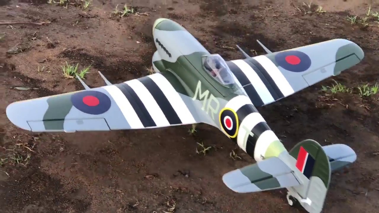 Steve FMS Typhoon Maiden in Memory of Squadron 245
