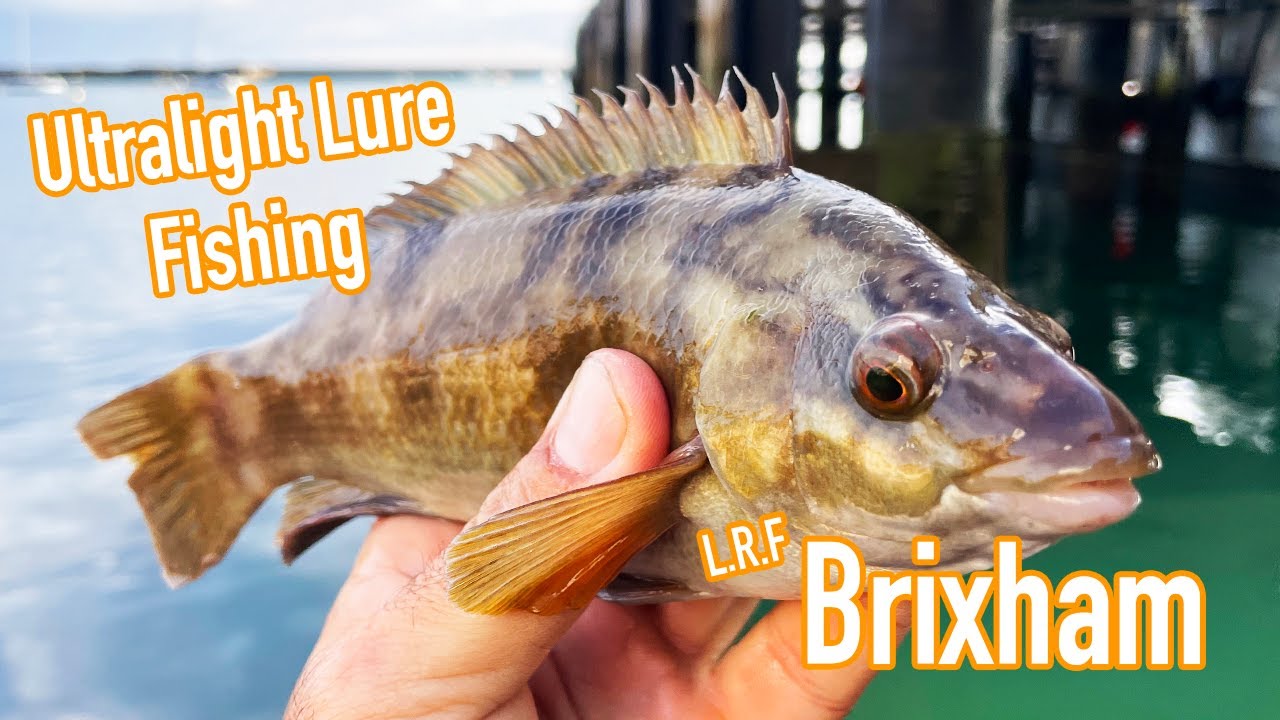 Ultra Light LRF Lure Fishing, Brixham, Devon.