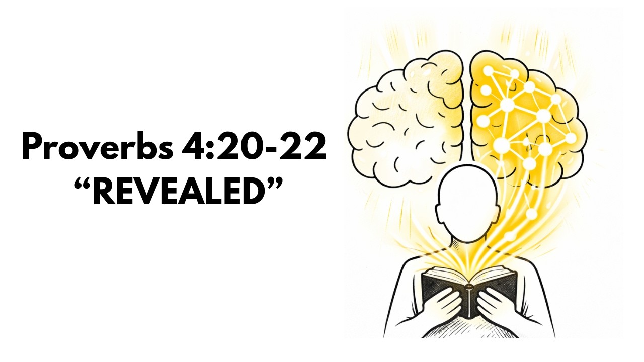 Your Attention Shapes Your Brain | Here's What Scripture Reveals