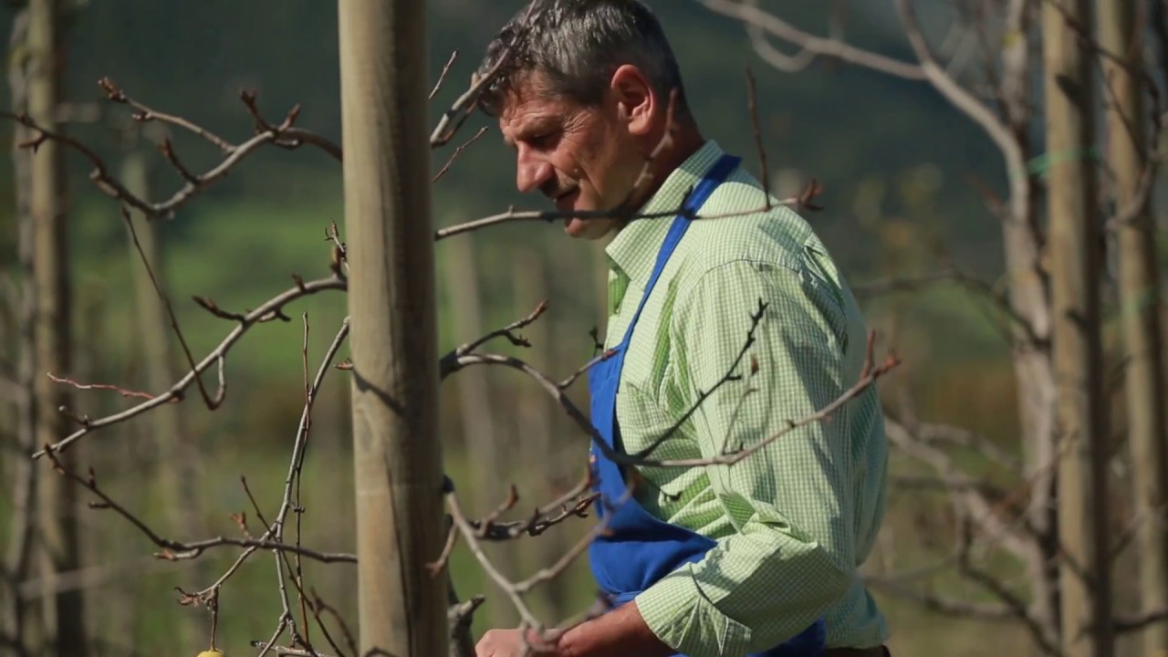 Palabirnen-Spezialitäten vom Tälerhof in Schluderns