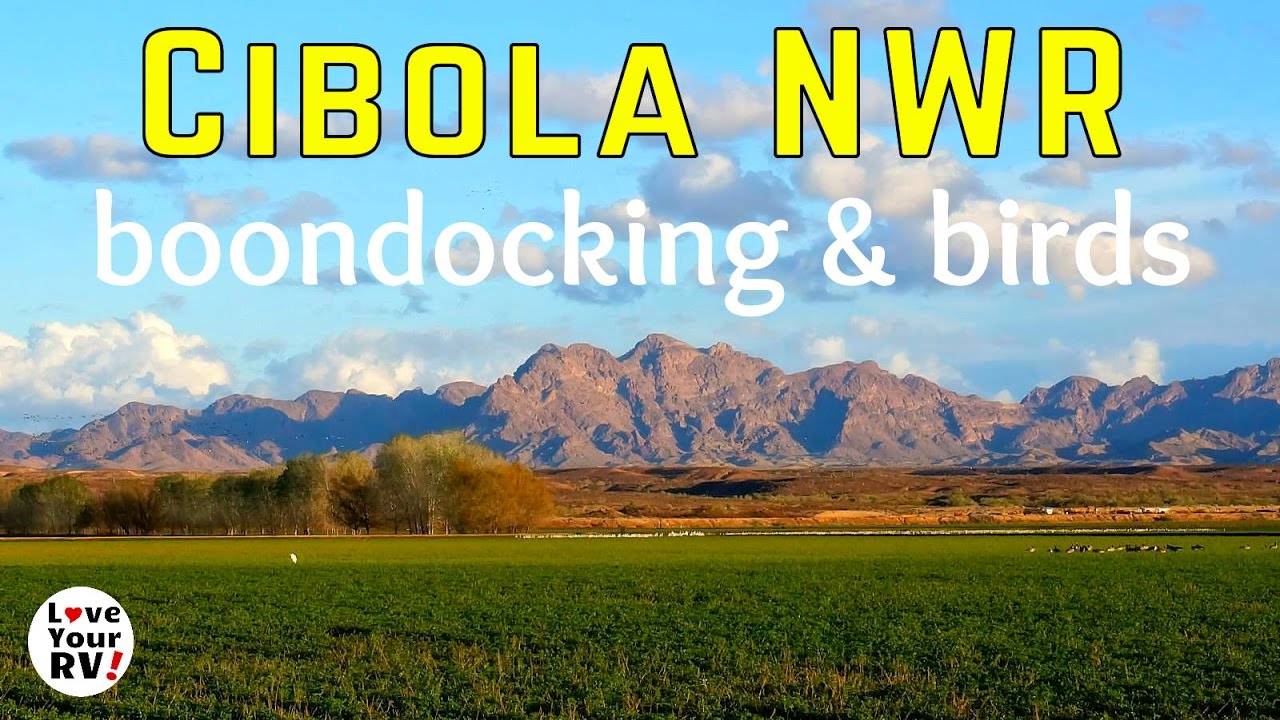 Camping and Bird Watching at Cibola National Wildlife Refuge