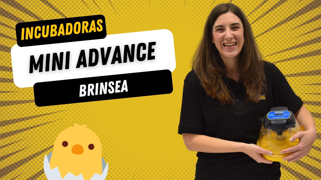 🐣 Manual incubadoras MINI ADVANCE de BRINSEA