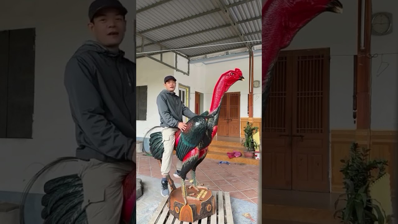 Dunyodagi eng katta dakan xoʻroz 😂😂🤣