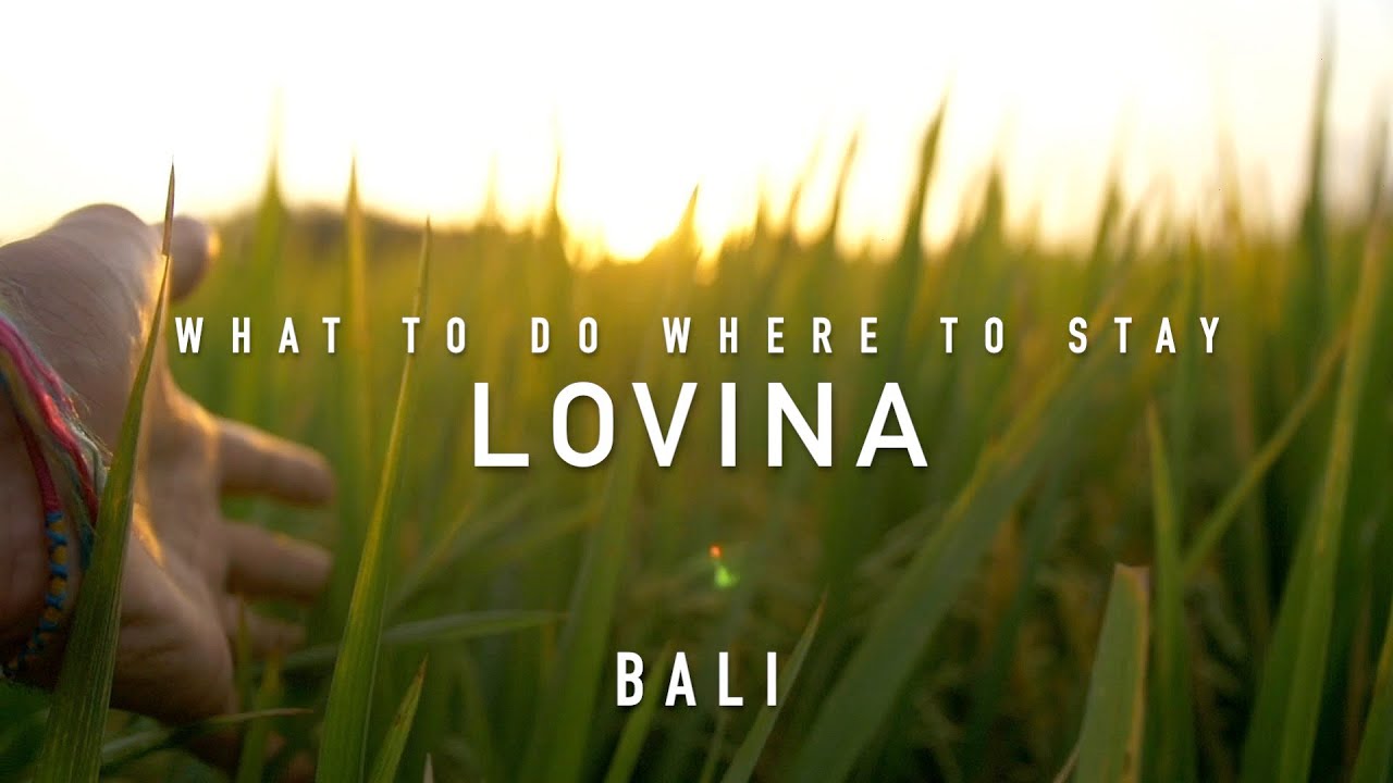 LOVINA WHAT TO DO WHERE TO GO BALI