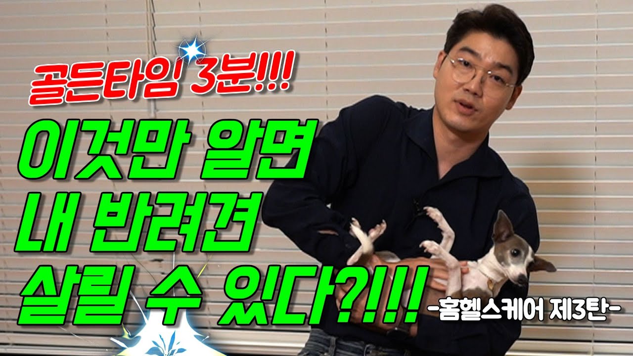 반려견 목에 이물질 걸렸을 때 응급처치?!_내 강아지 살리는 하임리히법