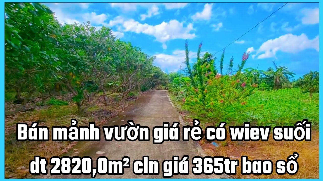 Bán mảnh vườn giá rẻ có wiev suối dt 2820,0m² cln giá 365tr bao sổ khu dân cư đường ô tô 
