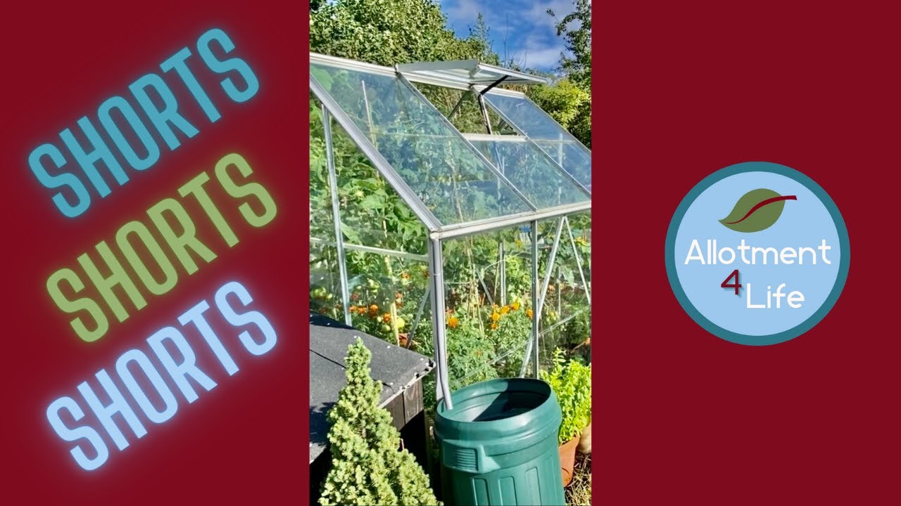 Small greenhouse ideas for beginners!