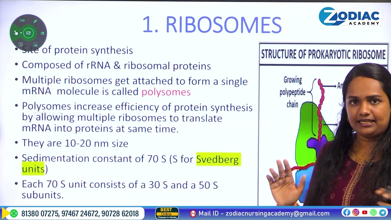 Lab Technician - Principle to Master | Part - 14 | Zodiac Academy