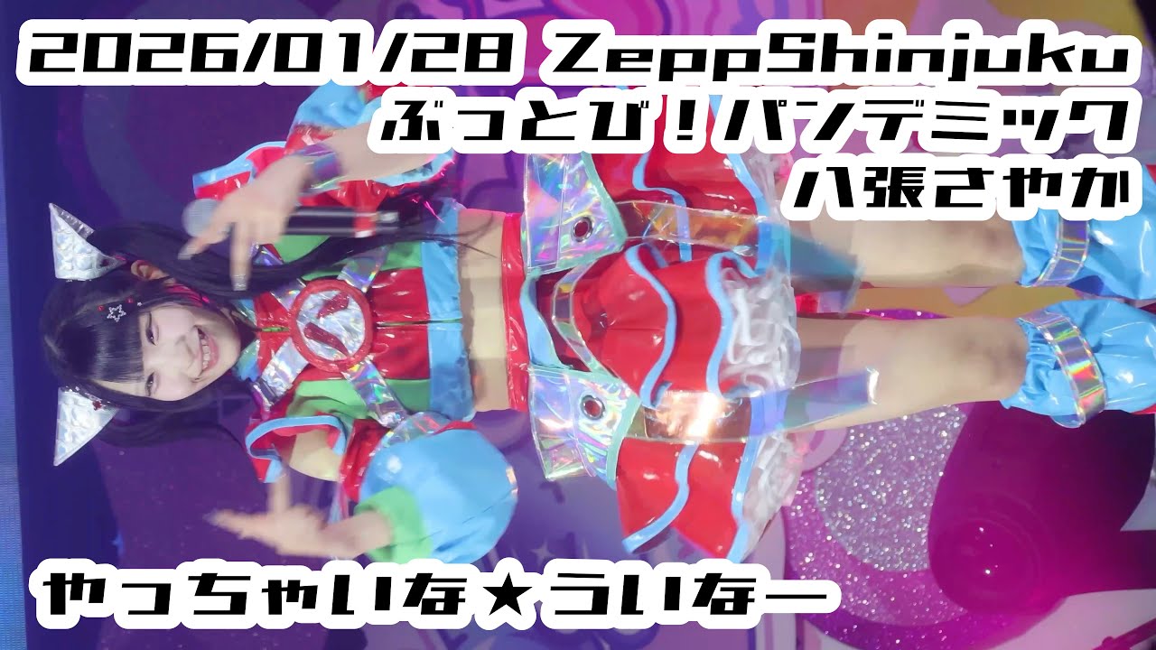 【#八張さやか】やっちゃいな★ういなー ぶっとび！パンデミック #ぶっパン #はじめの定点観察 #もぶぴの定点観察 2026/01/28 Zepp新宿