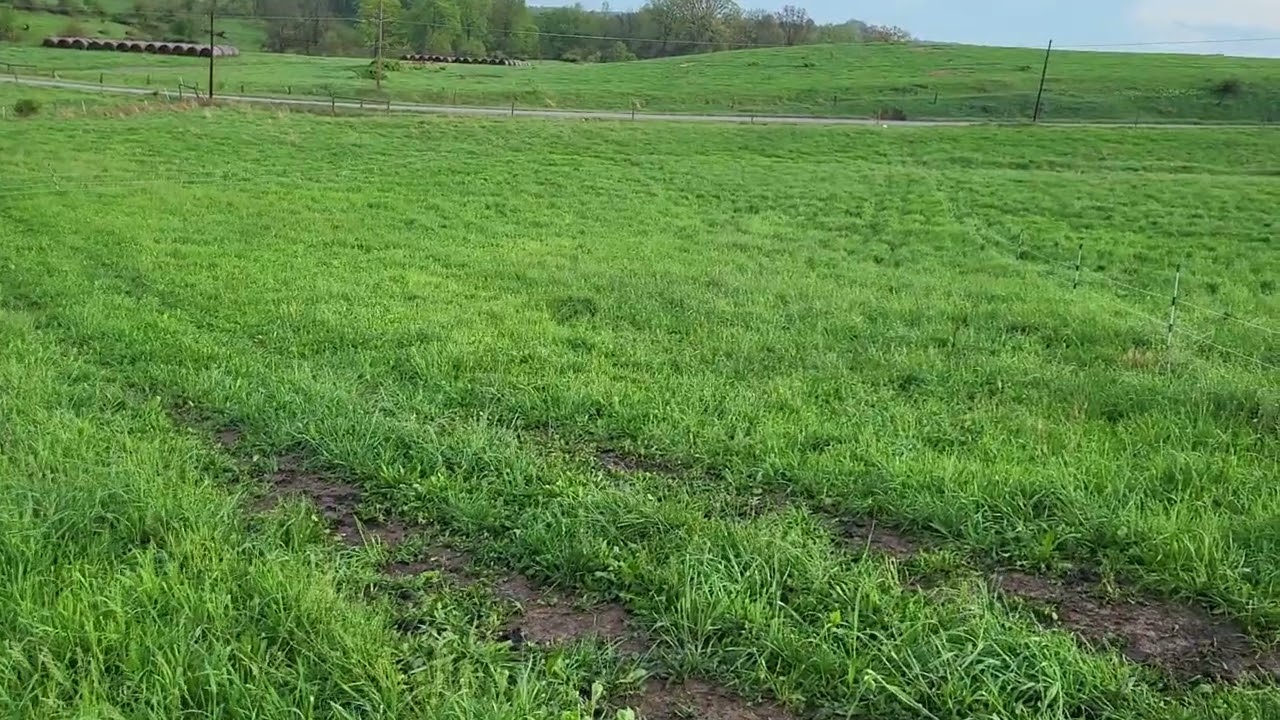 MAY 2, 2025 Selective vs. Non selective grazing, fostering forage diversity in our pastures