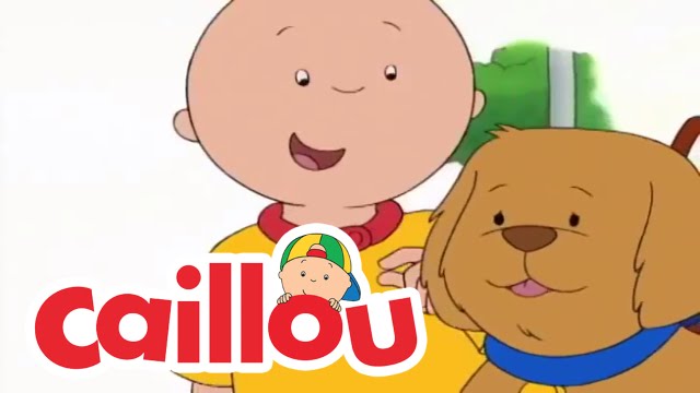 Caillou: A Special Dog | Videos For Kids