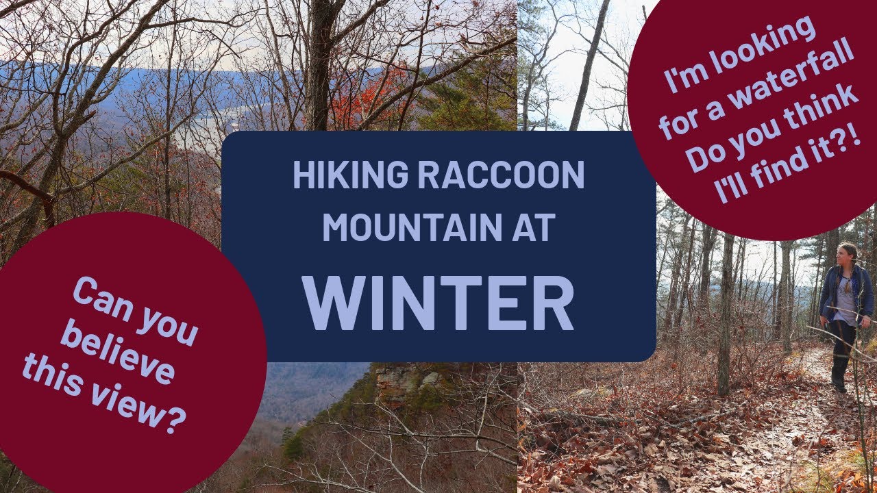 Add this Hike to your Chattanooga Winter Hiking List