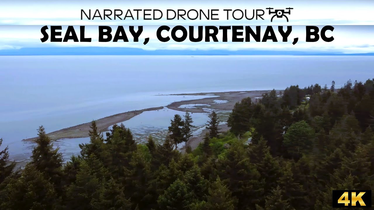 🌊 4K Drone Views of Seal Bay, Courtenay, BC | Aerial Coastal Beauty! 🚁