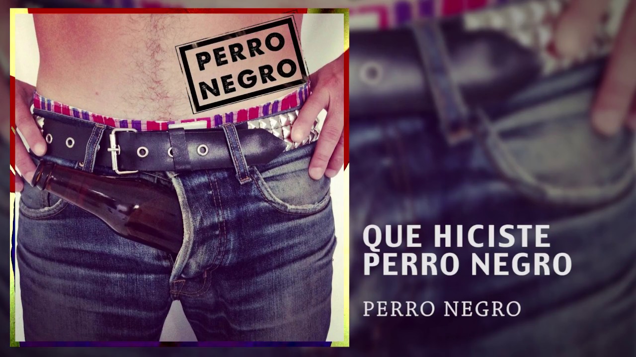 Perro Negro - Qu&eacute; hiciste Perro Negro?