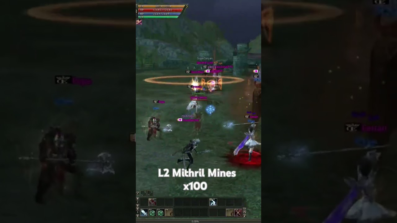 lineage 2 - PvP -  Mithril Mines x100 #lineage2 #mmorpg #l2community #games #gaming #l2 #lineage