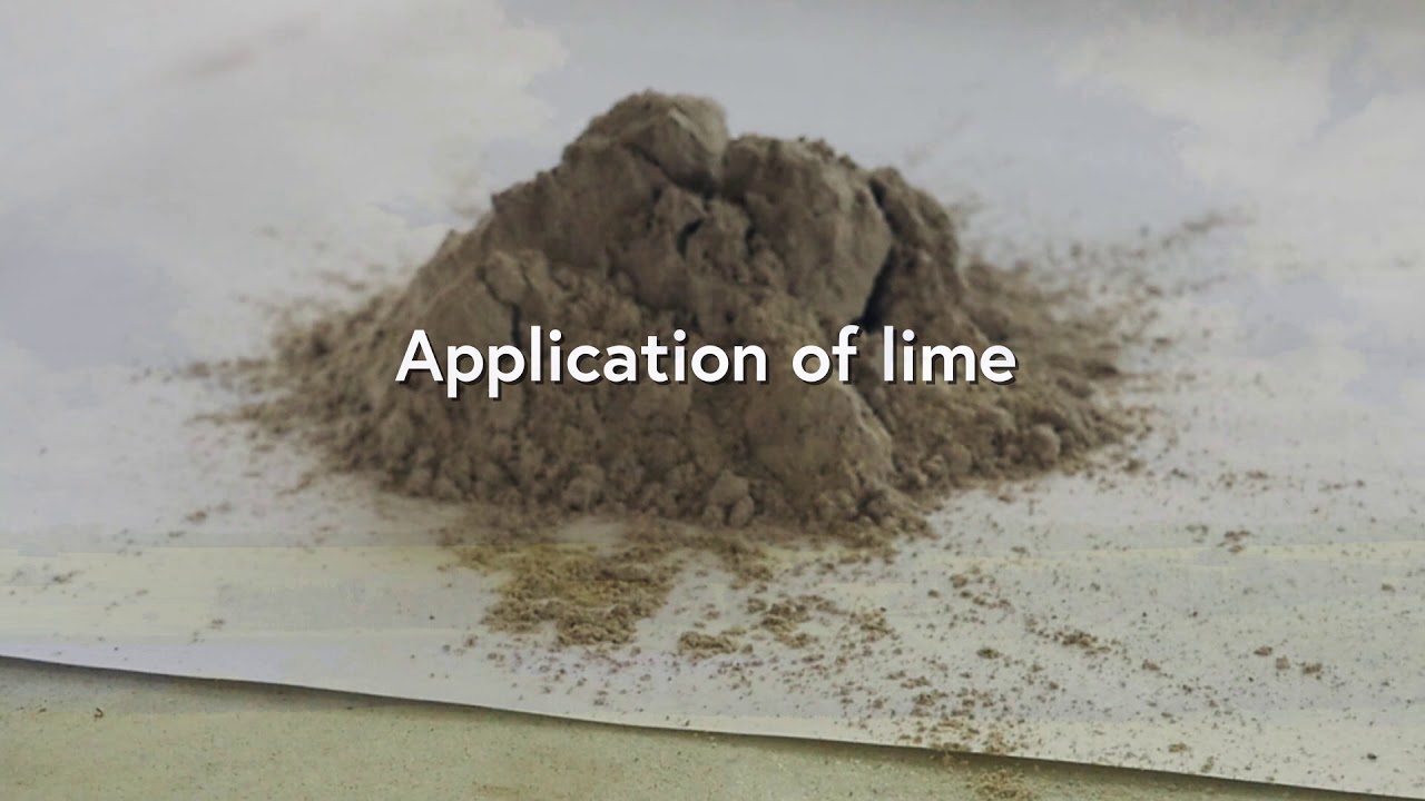 Clubroot Management: Summary