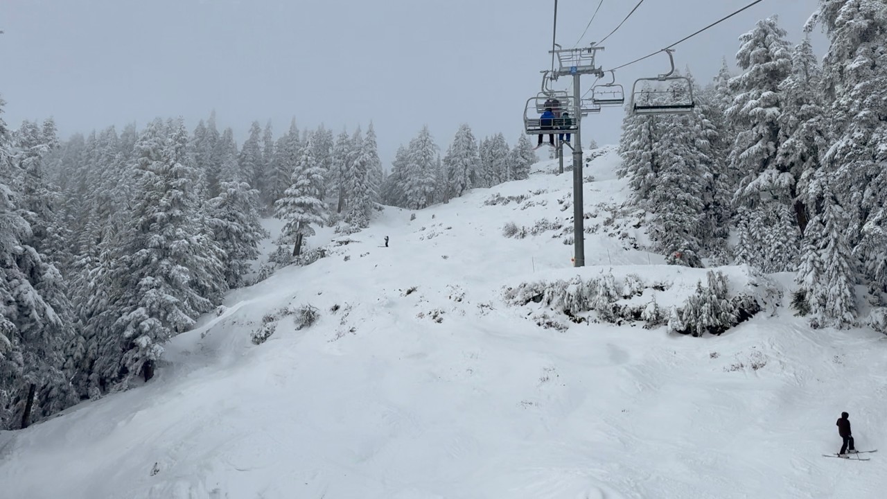 It Finally Snowed In Vancouver