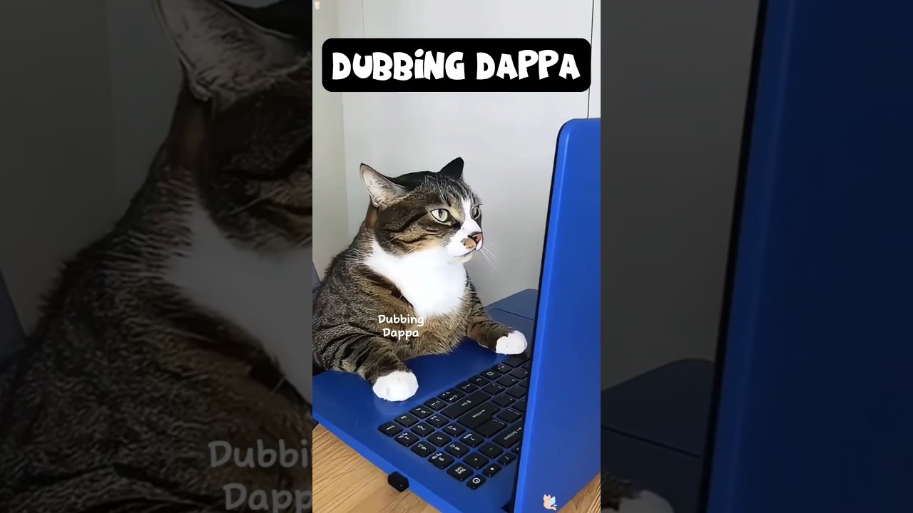 🤣 #funny #cat #shorts #dog #shortsfeed #animals #dubbingdappa #catlover #doglover #pets #cats #dogs