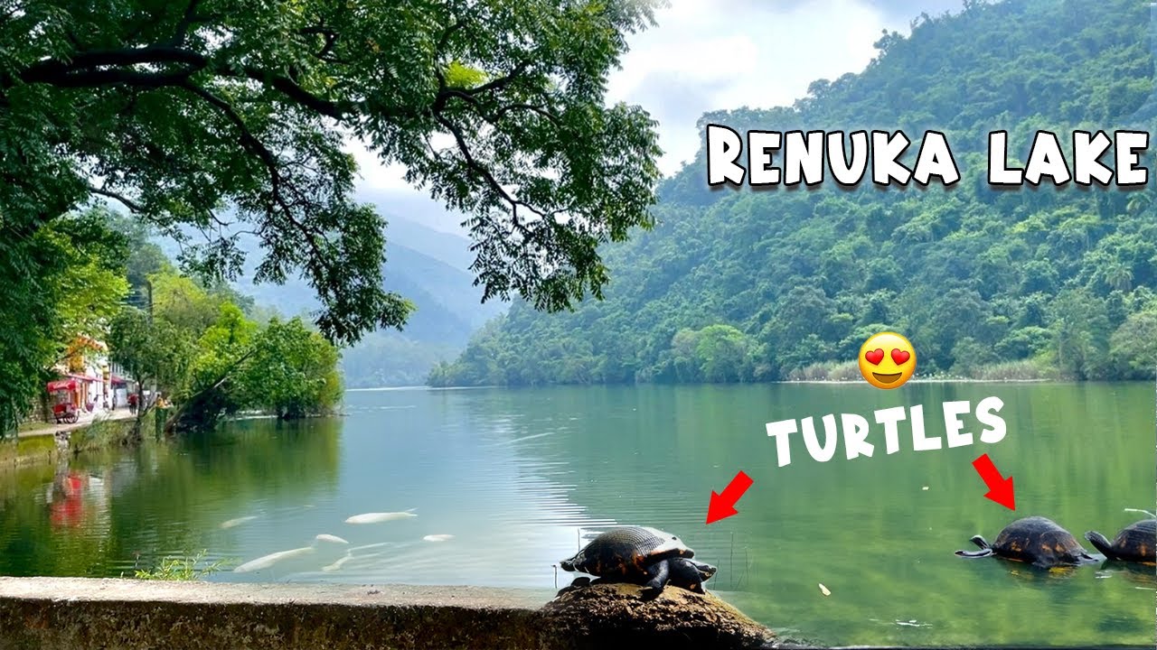 Turtles live in this lake 😍😍 Renuka Lake | 100kms from Dehradun | Travel Bug