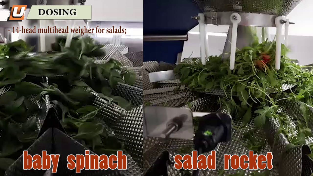 Automatic Packaging Line for Salad Rocket and Baby Spinach