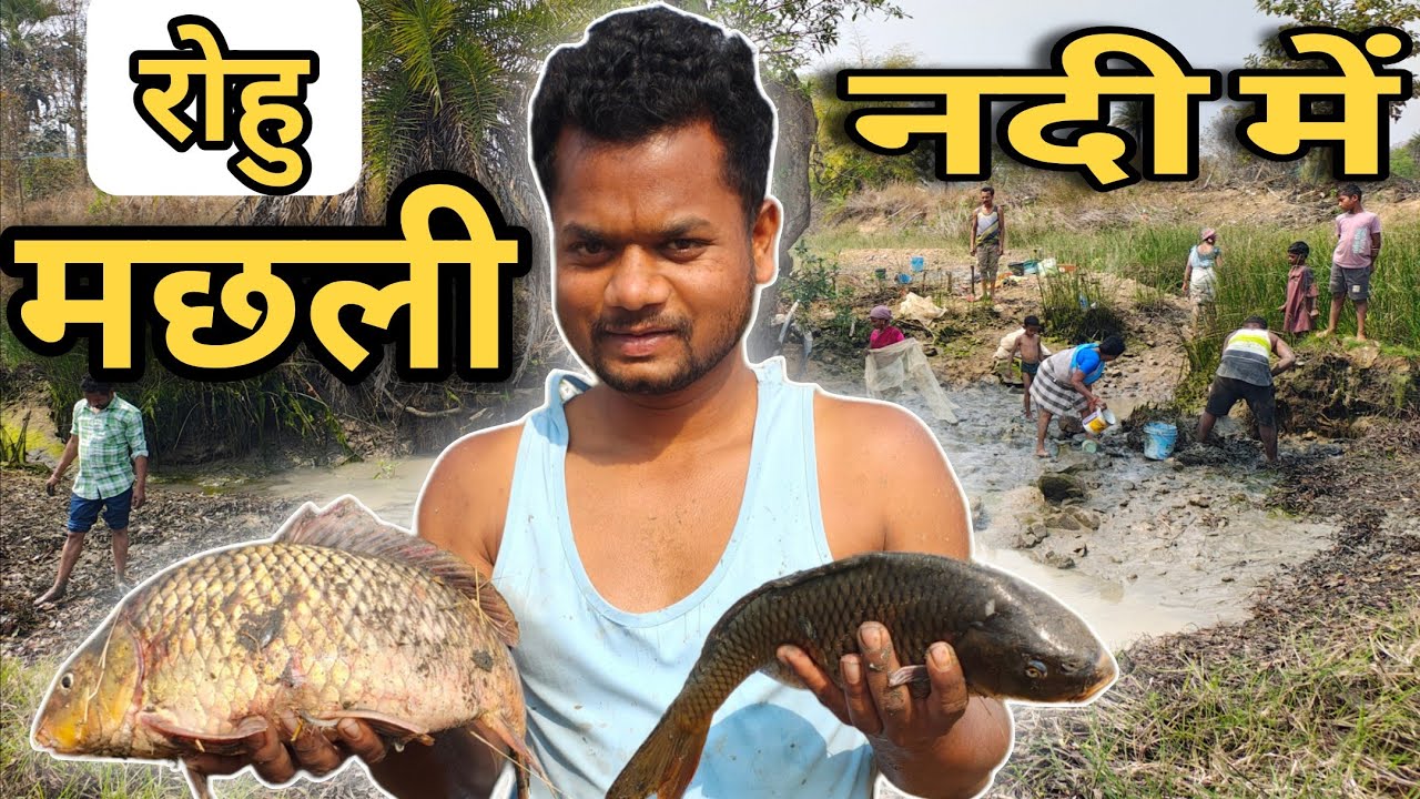 नदी में मछली पकड़े मिला कतला और रोहु मछली l Amazing Fishing ll Bikki27 