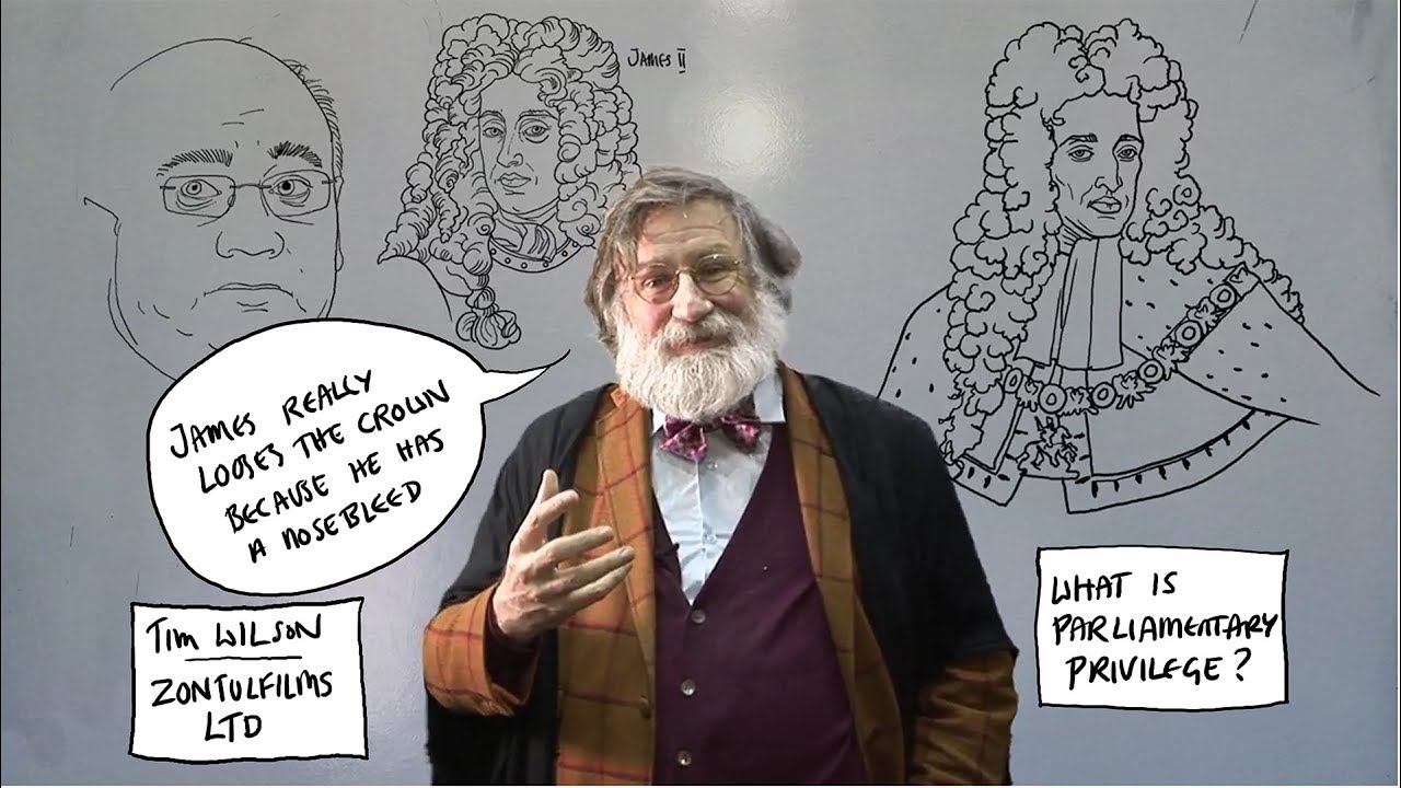 parliamentary privilege by TIM