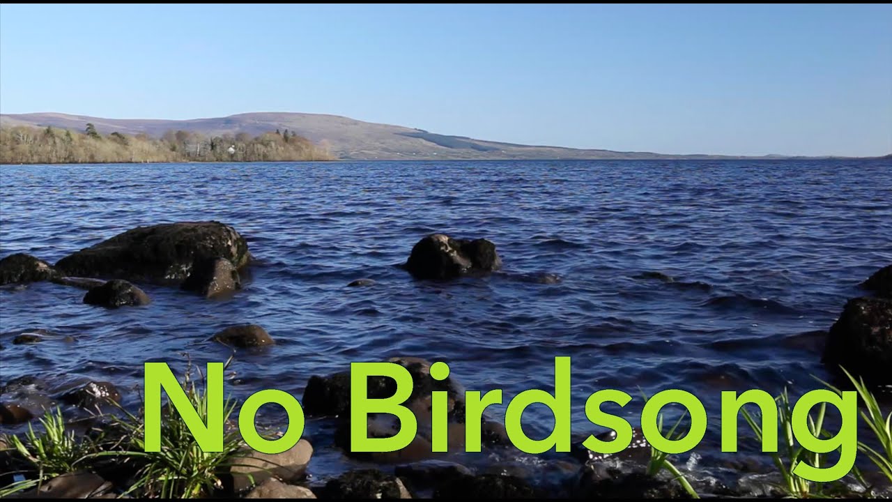 8 hours Nature Sounds for Sleeping - Relaxing Lapping Water W/O Birdsong -Sound of Gentle Lake Waves