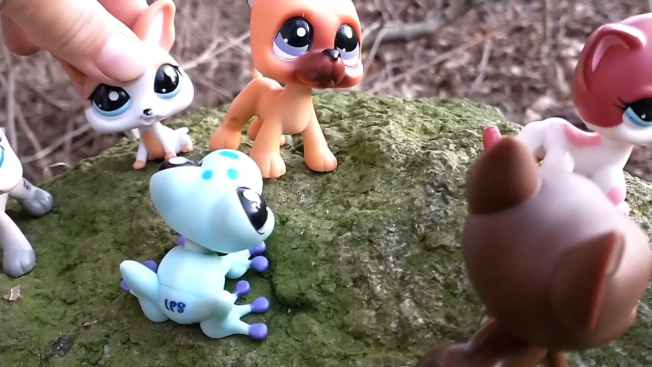 LPS škola v přírodě