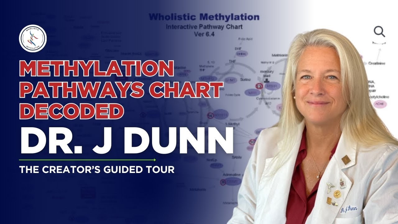 Holistic Methylation Interactive Pathway Chart: Dr. J’s Full Breakdown!